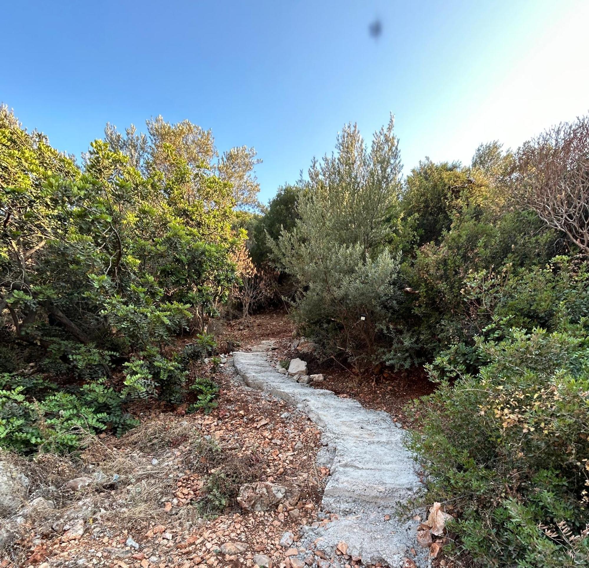 Ferienwohnung Green Hill Kaş Exterior foto