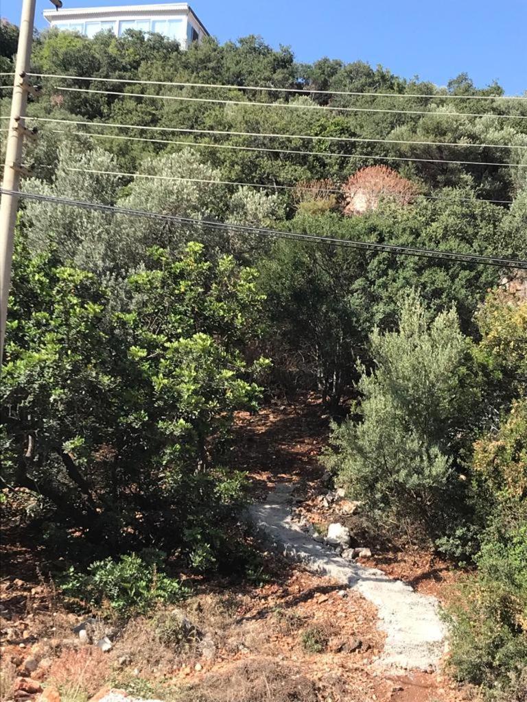 Ferienwohnung Green Hill Kaş Exterior foto